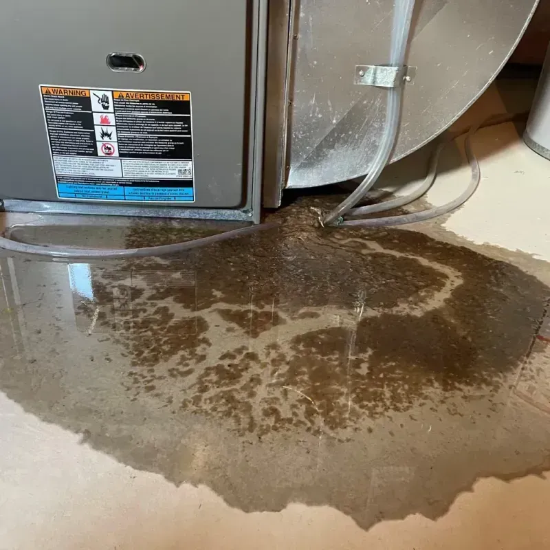 Appliance Leak Cleanup in Indiana, PA